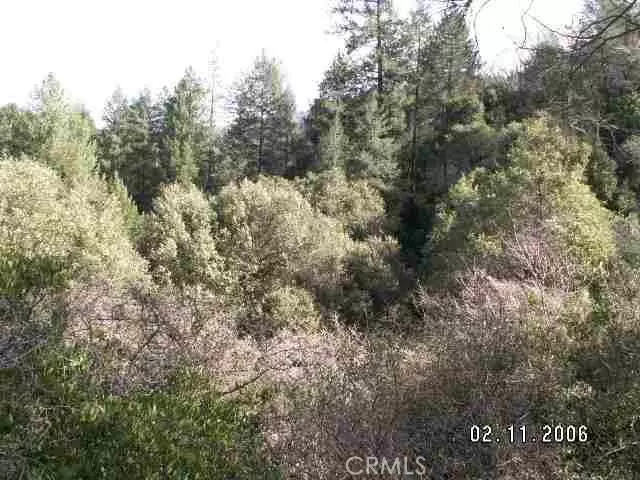 Berry Creek, CA 95916,0 bloomer hill