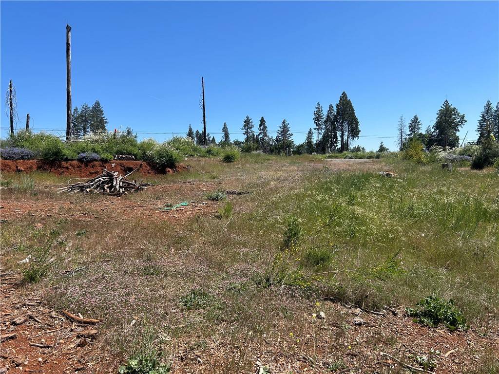 Magalia, CA 95954,13664 Fritz CT