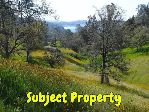 Friant, CA 93626,49636 Ralston Ridge