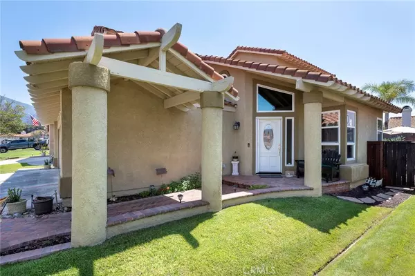 Rancho Santa Margarita, CA 92688,32 Sarracenia