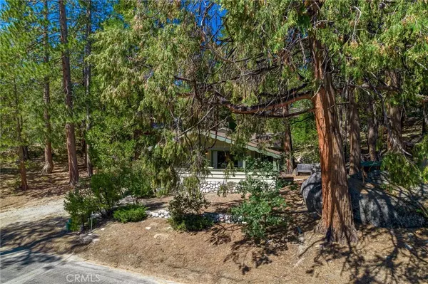 Idyllwild, CA 92549,25391 Franklin DR