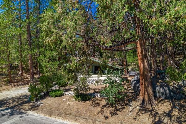 Idyllwild, CA 92549,25391 Franklin DR