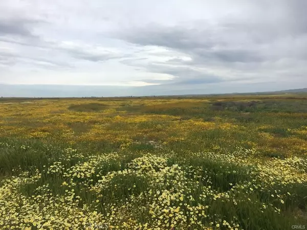 California Valley, CA 93453,0 Buffalo - A