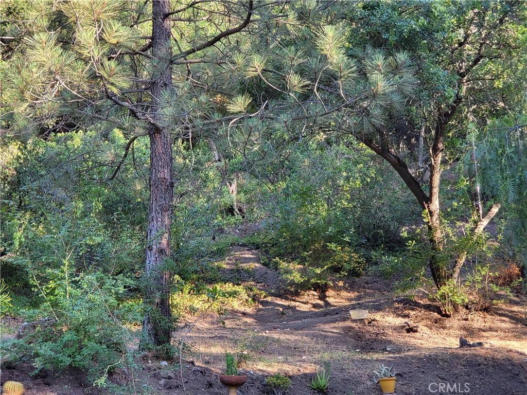 Silverado Canyon, CA 92676,30472 Silverado Canyon