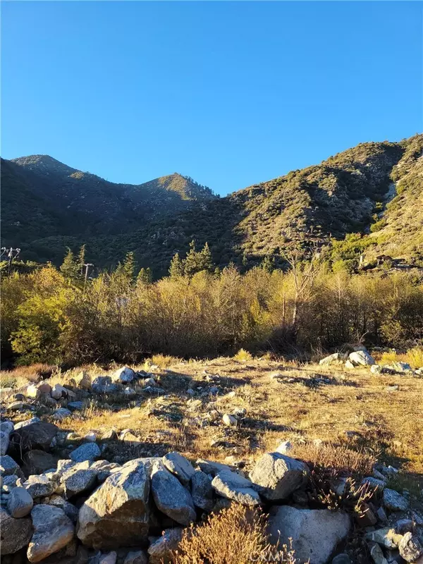 Mt Baldy, CA 91759,911 San Antonio Creek RD