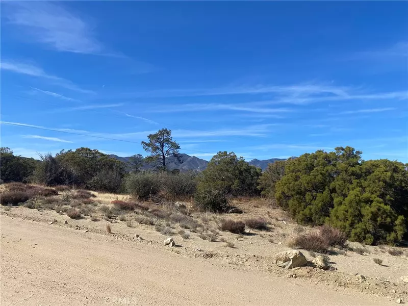 0 Palm Canyon Dr., Pinyon Pines, CA 92561