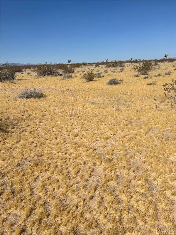 5 Mi N/O Shadow Mt RD, Adelanto, CA 92301