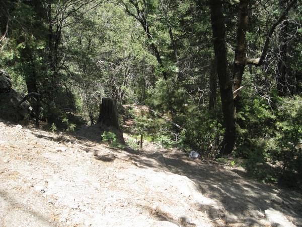 Twin Peaks, CA 92391,0 Forest LN