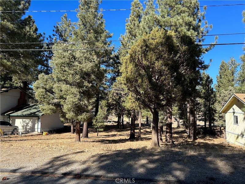 46997 Sky View DR, Big Bear City, CA 92314