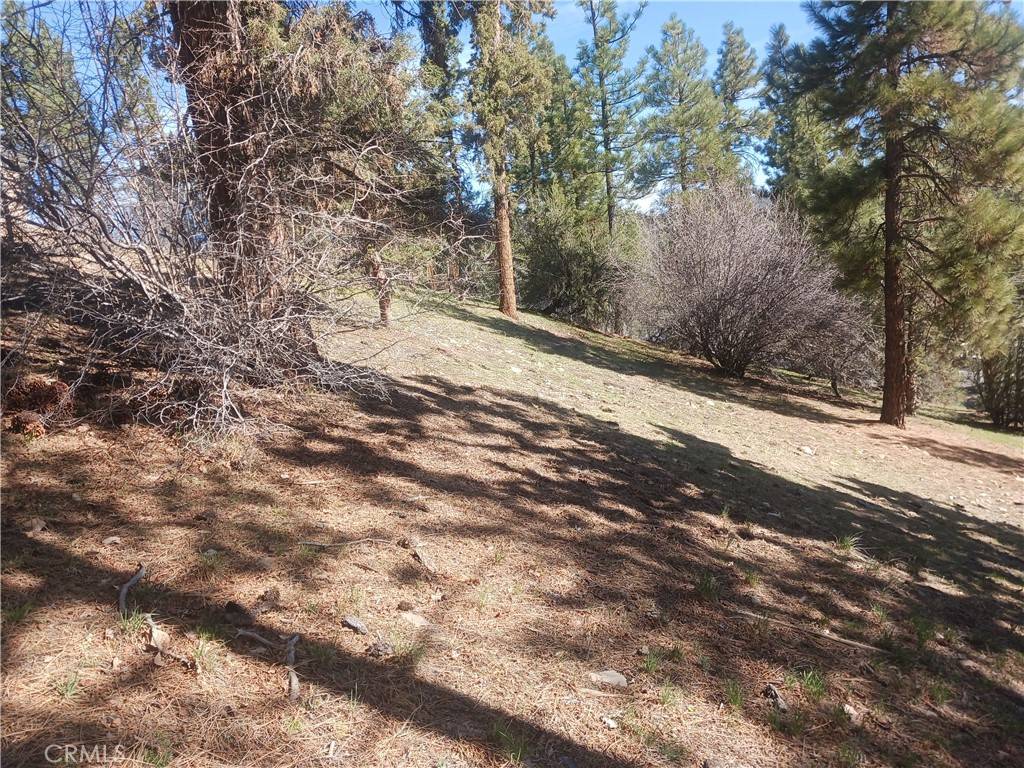 Big Bear City, CA 92314,0 Big Bear Blvd