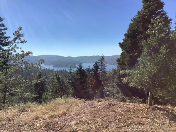 Lake Arrowhead, CA 92352,234 Ponderosa Peak RD