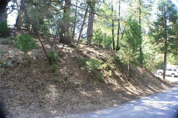 Lake Arrowhead, CA 92352,0 Oakwood DR