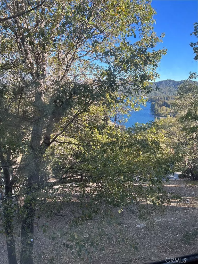 Lake Arrowhead, CA 92352,0 Nadelhorn DR