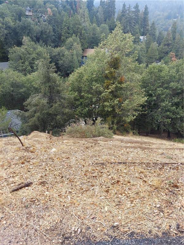 Crestline, CA 92325,0 Arbula DR