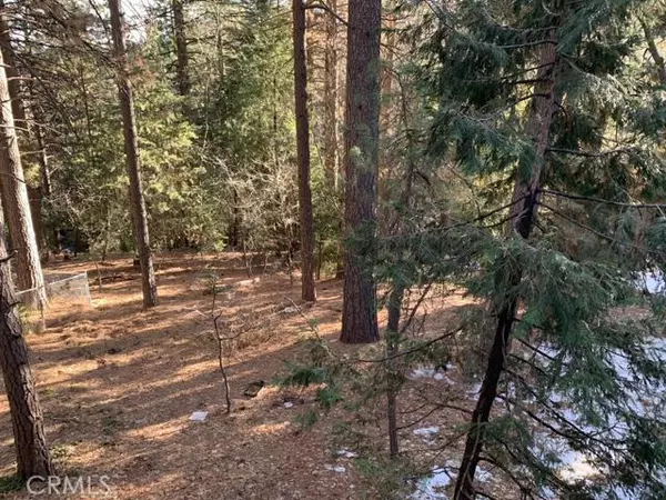 893 Sierra Vista DR, Twin Peaks, CA 92391