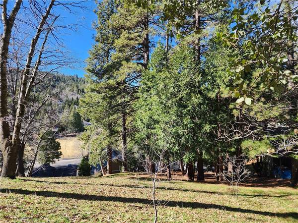 0 San Moritz DR, Crestline, CA 92325