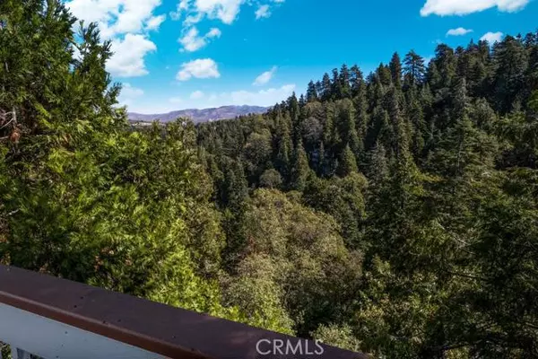 Lake Arrowhead, CA 92352,587 Wellsley DR