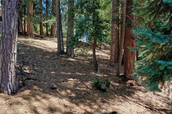 Lake Arrowhead, CA 92352,0 Augusta Dr