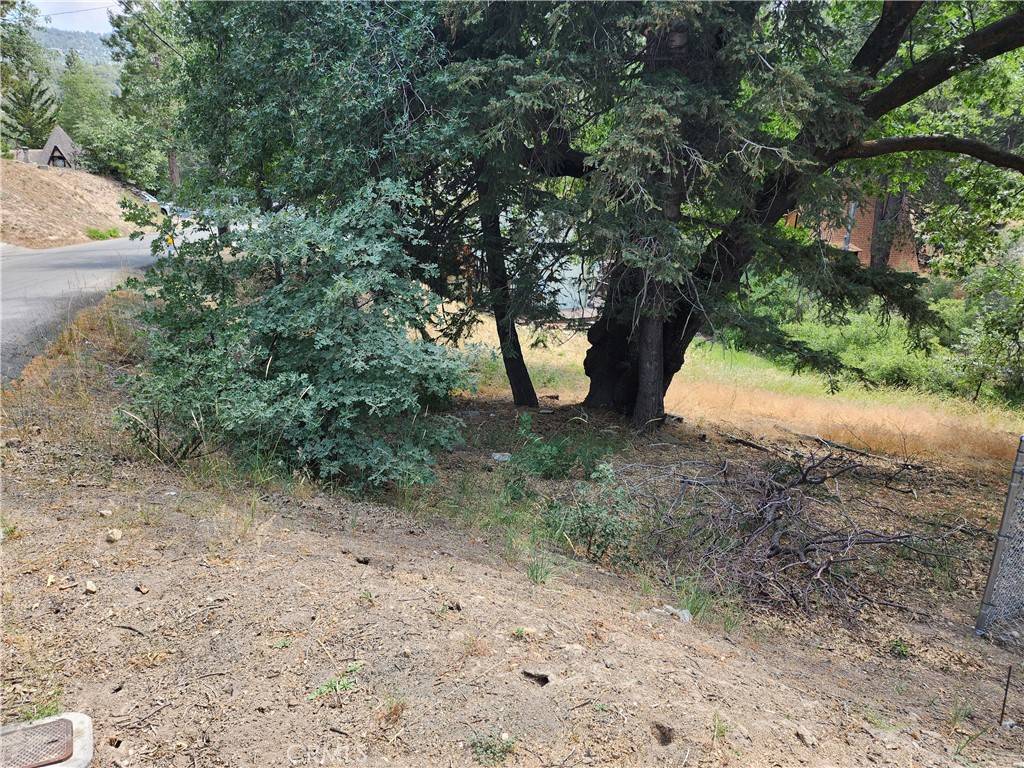 Arrowbear, CA 92382,0 Arrowbear DR