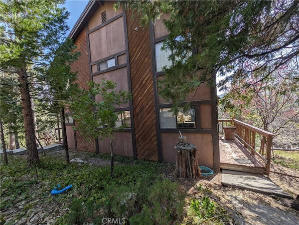 Lake Arrowhead, CA 92352,695 Grass Valley RD