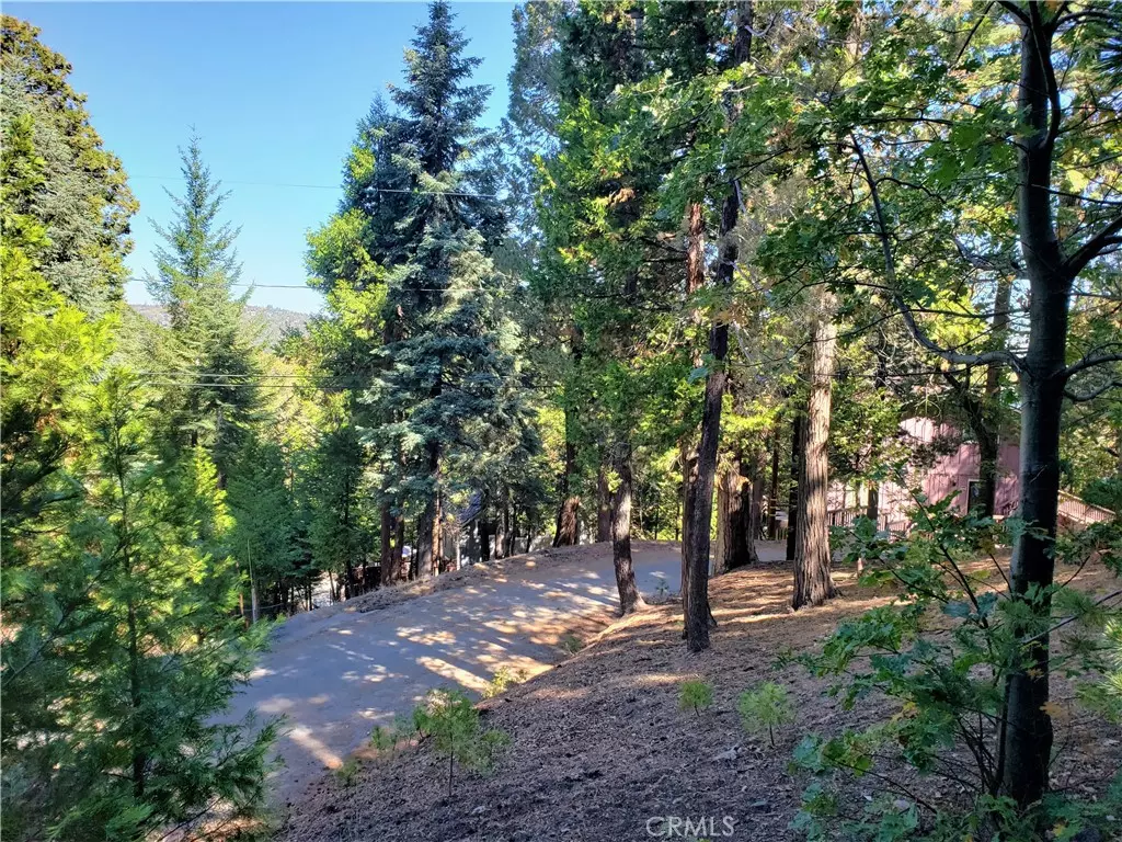 Lake Arrowhead, CA 92352,330 Castle Gate RD