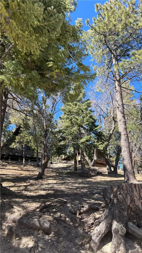 Forest Falls, CA 92339,40904 Spruce DR