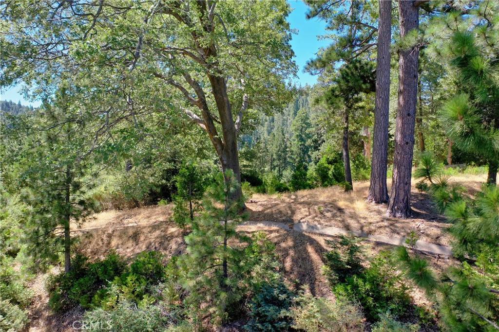 Lake Arrowhead, CA 92352,29230 Pigeon Hawk LN