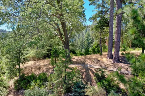 Lake Arrowhead, CA 92352,29230 Pigeon Hawk LN