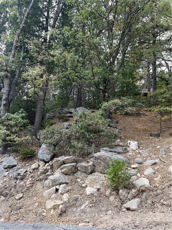 26272 Thunderbird DR, Lake Arrowhead, CA 92352