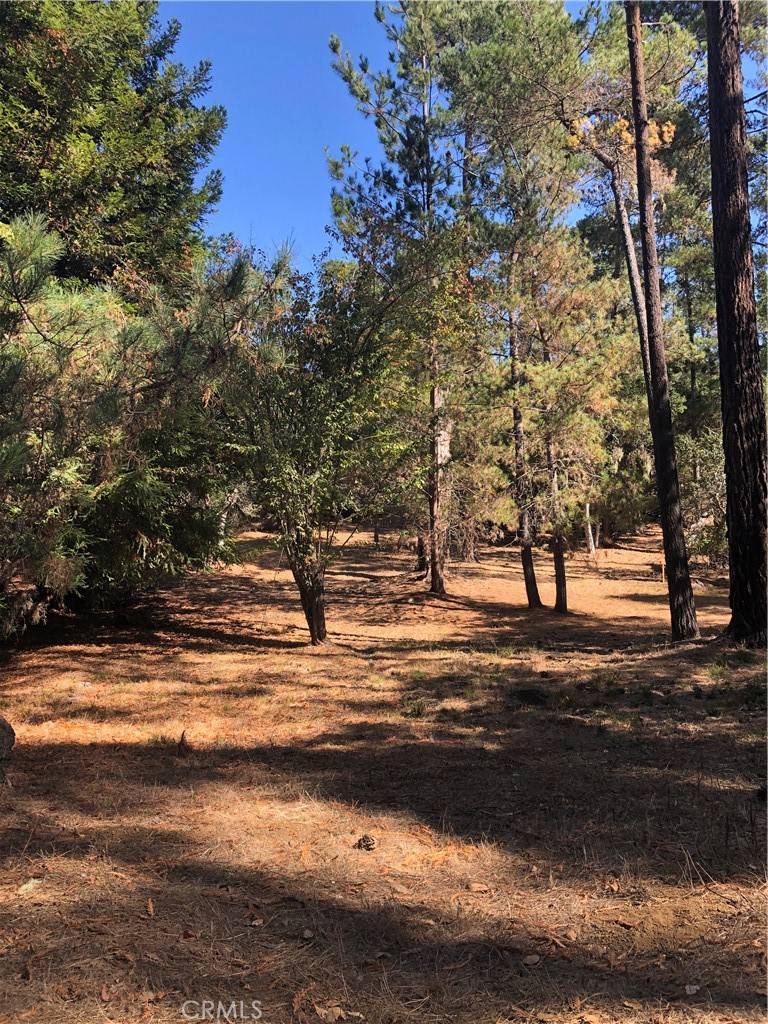 Cambria, CA 93428,1760 Langton ST