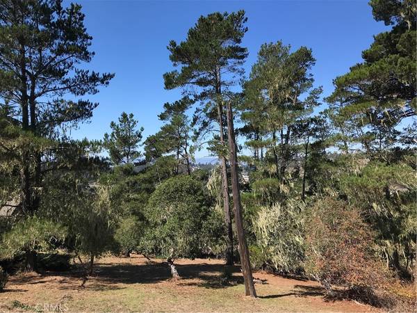 Cambria, CA 93428,3270 Pine CT