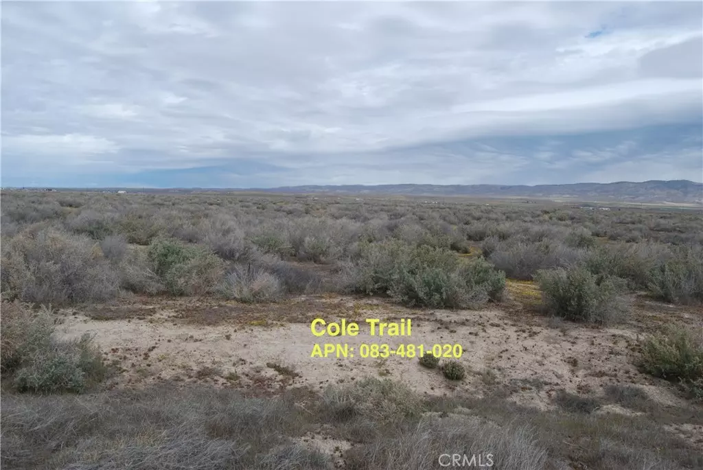 California Valley, CA 93453,0 Cole TRL