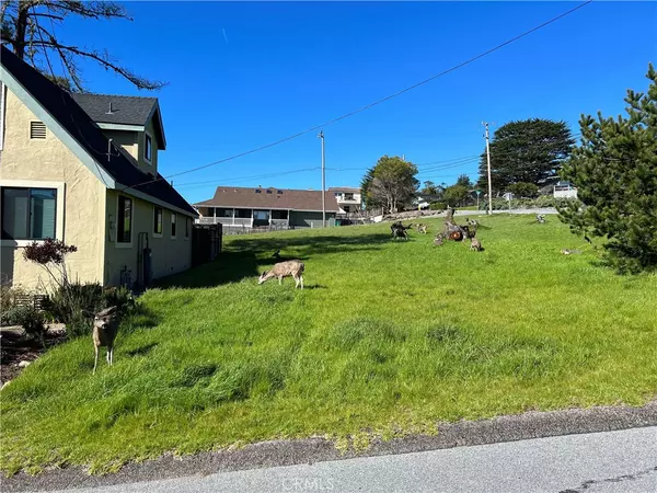 Cambria, CA 93428,399 Fallbrook ST