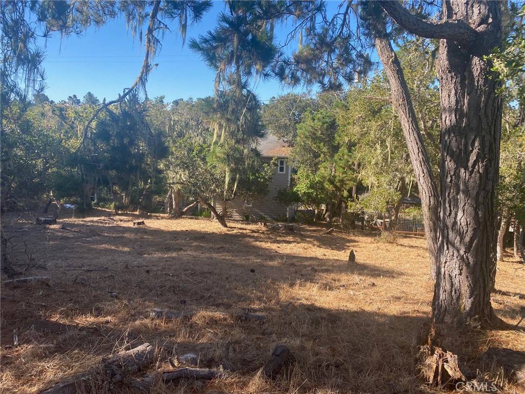 Cambria, CA 93428,0 Alban PL