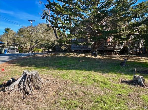 Cambria, CA 93428,960 Drake ST