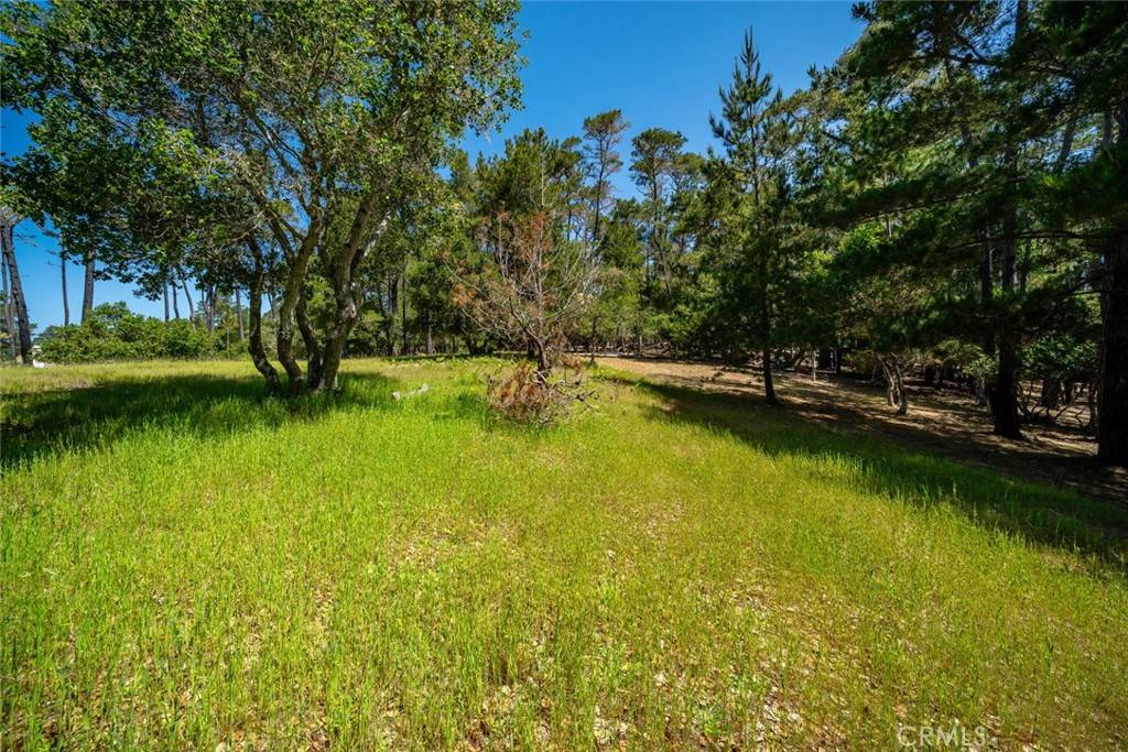 6475 Kathryn DR, Cambria, CA 93428
