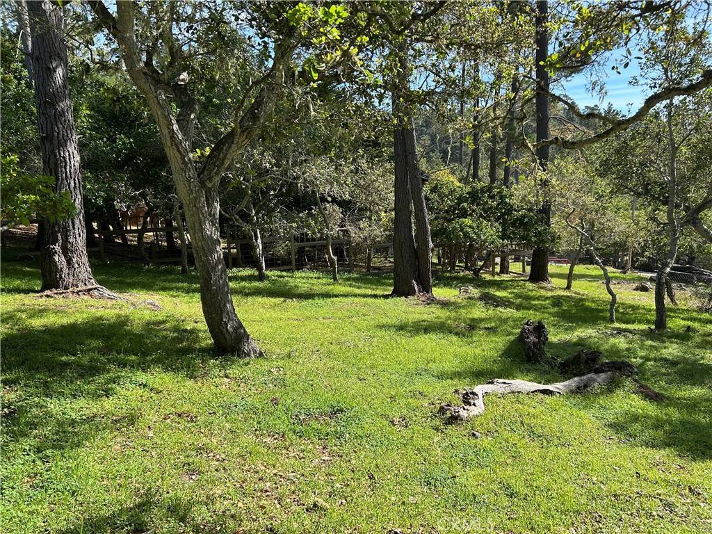 Cambria, CA 93428,0 Benson AVE