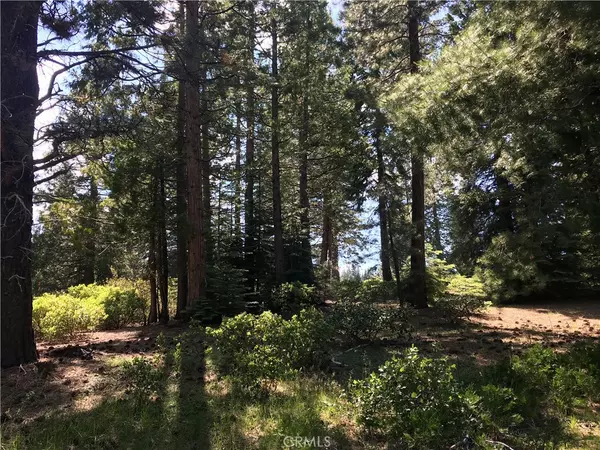 Lake Almanor, CA 96137,270 Vista DR