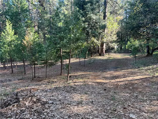 Forest Ranch, CA 95942,0 Headwaters RD