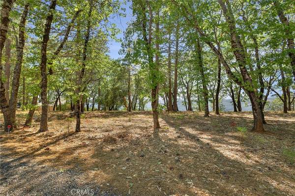 Forest Ranch, CA 95942,15015 Woodland Park DR