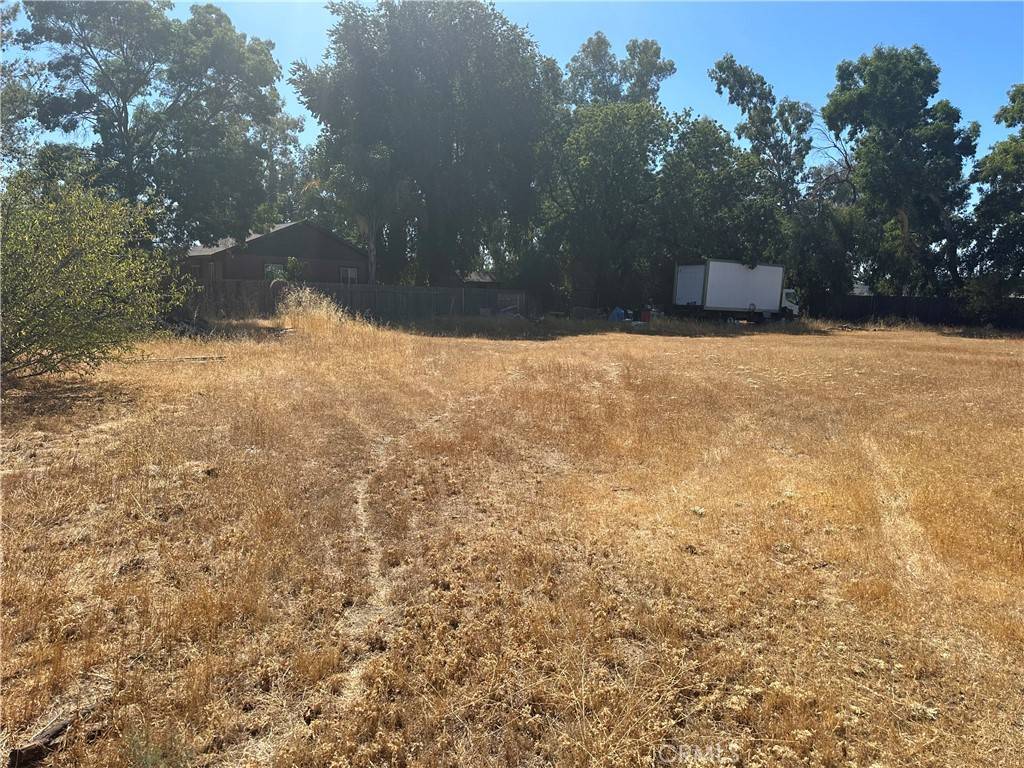 Orland, CA 95963,0 County Road 14