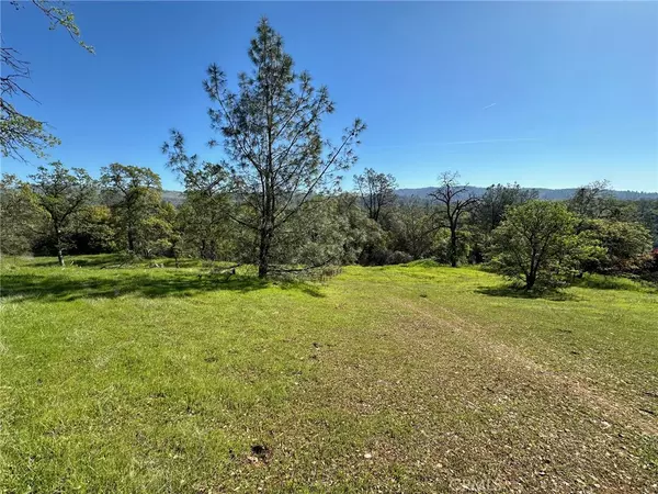 169 Shady Oak DR, Oroville, CA 95966