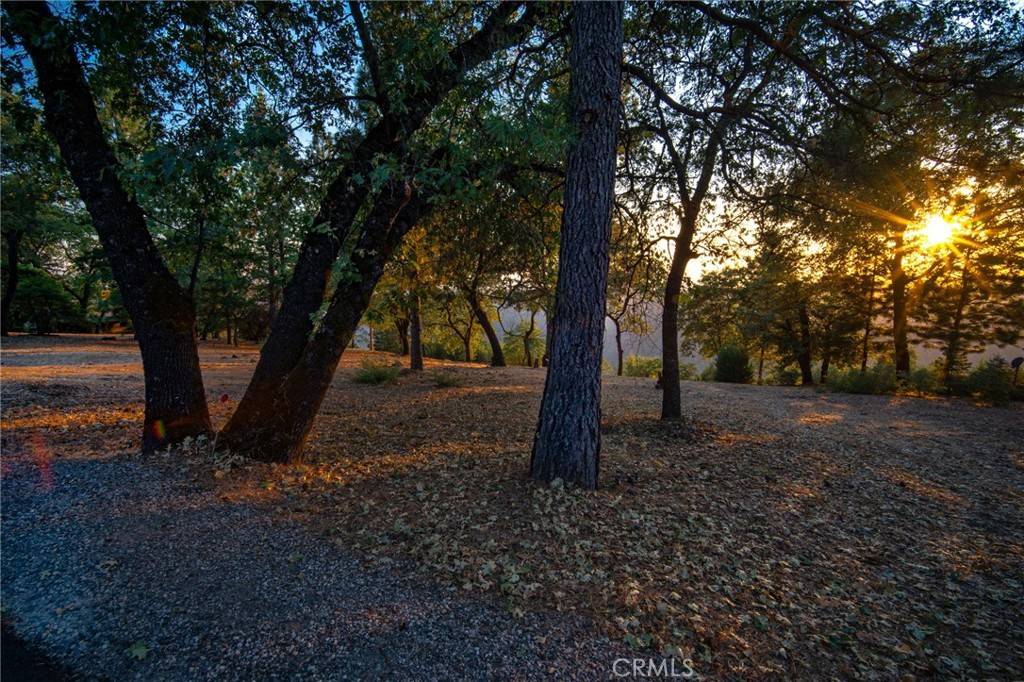 Forest Ranch, CA 95942,0 Woodland Park DR