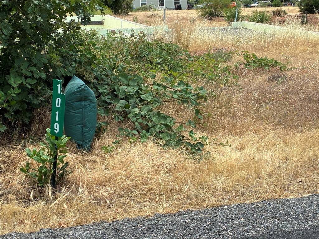 Paradise, CA 95969,1019 Maple Park Dr
