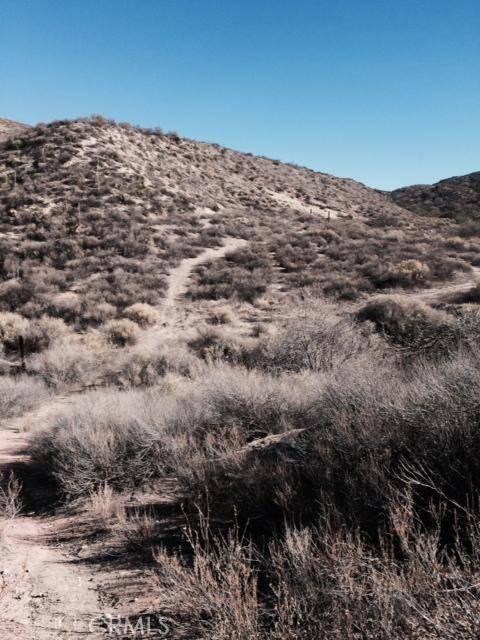 Agua Dulce, CA 91350,0 Vic Summit Knoll Rd/Tick /Cyn