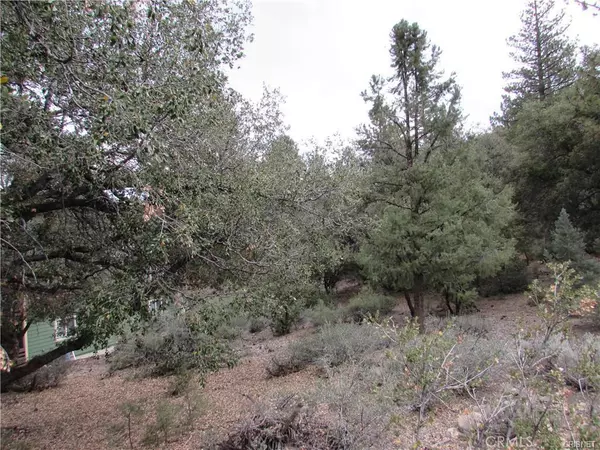 1820 Linden DR, Pine Mountain Club, CA 93222