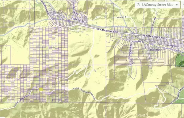 Castaic, CA 91384,1 Loma Verde Mountainway