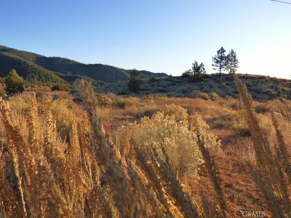 Frazier Park, CA,1 Hilltop