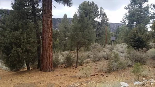 2104 Freeman DR, Pine Mtn Club, CA 93222