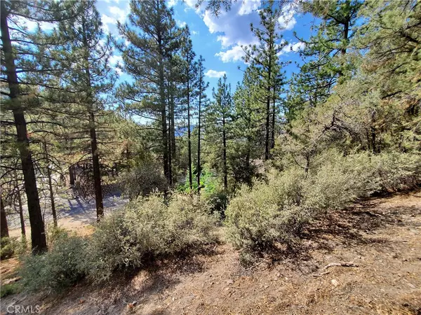 Pine Mountain Club, CA 93222,1508 Dogwood CT